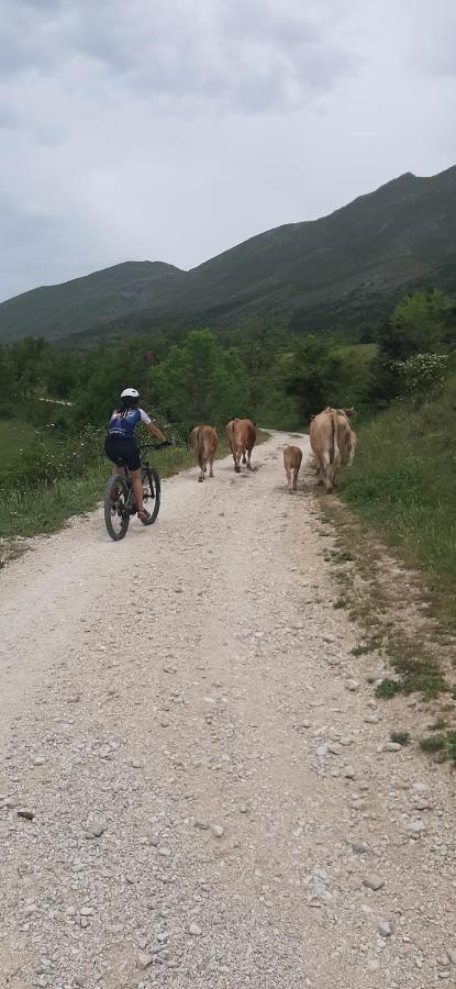 B&B La Casa Dei Nonni Assergi Buitenkant foto